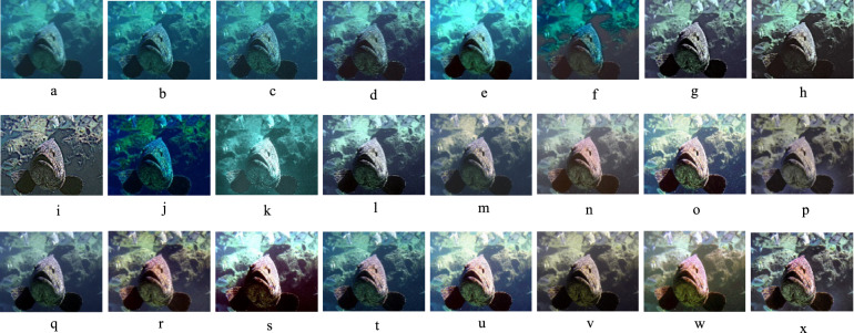 Figure 9