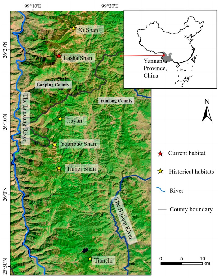 FIGURE 2