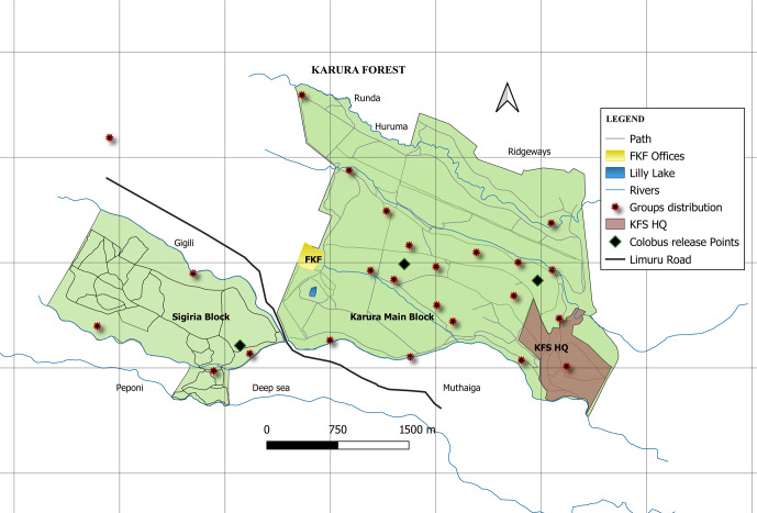 Figure 1