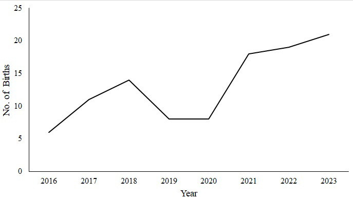 Figure 2