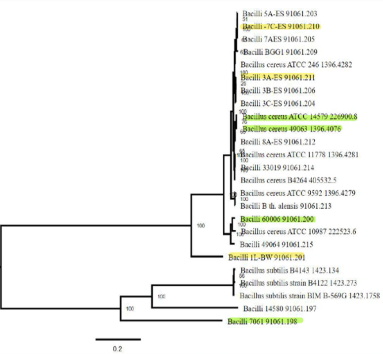 Figure 2