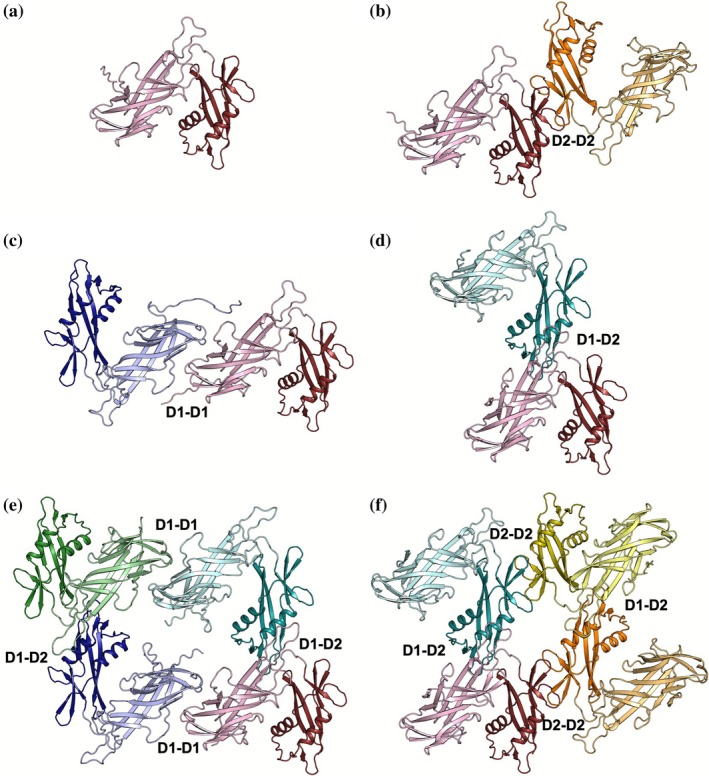 FIGURE 3
