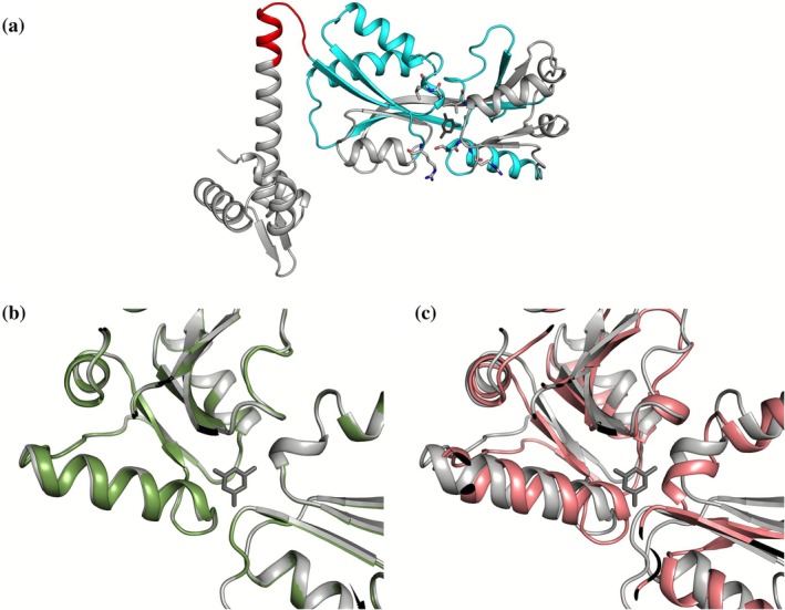 FIGURE 2
