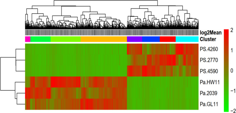Figure 6