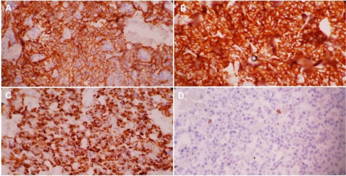 FIGURE 4