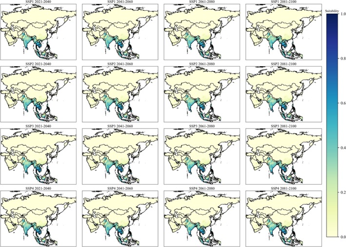 FIGURE 3