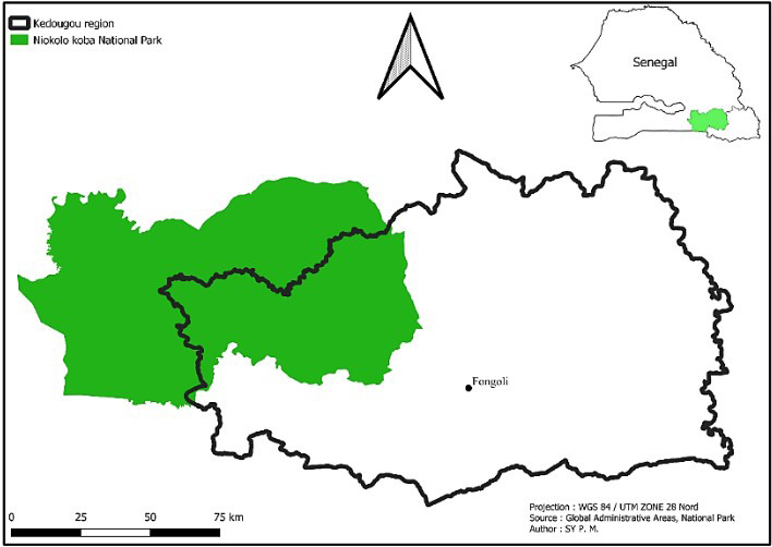 Figure 1