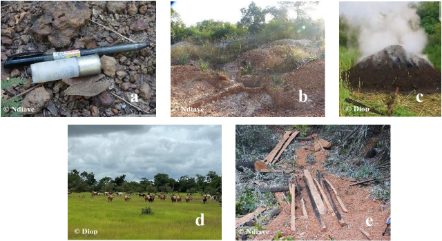 Figure 2