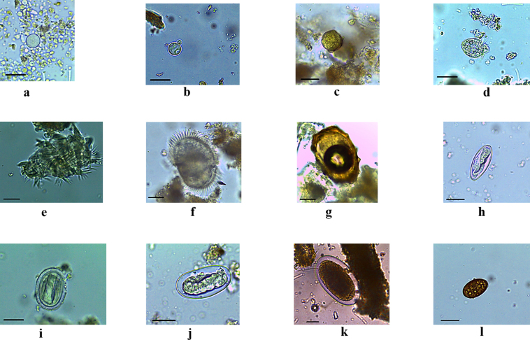 Figure 3