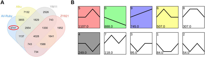 FIGURE 4