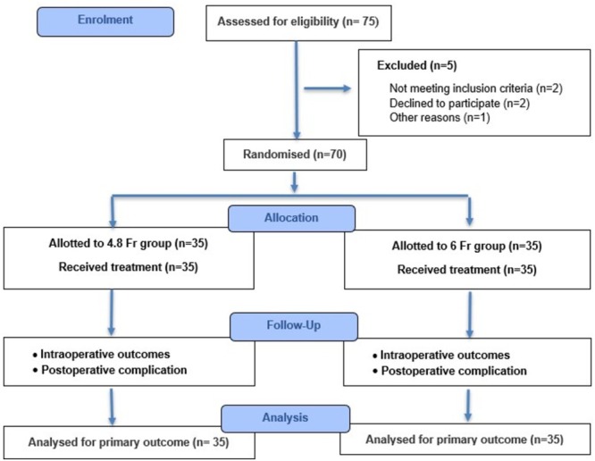 FIGURE 1