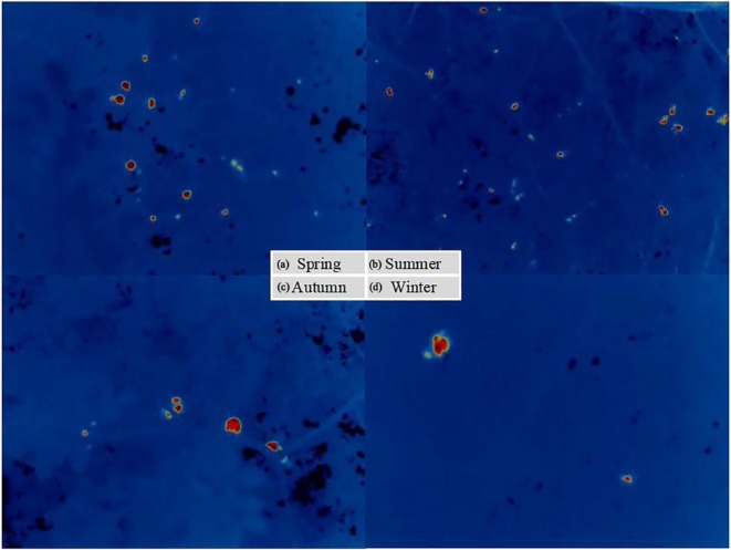 FIGURE 7