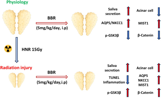 Figure 7