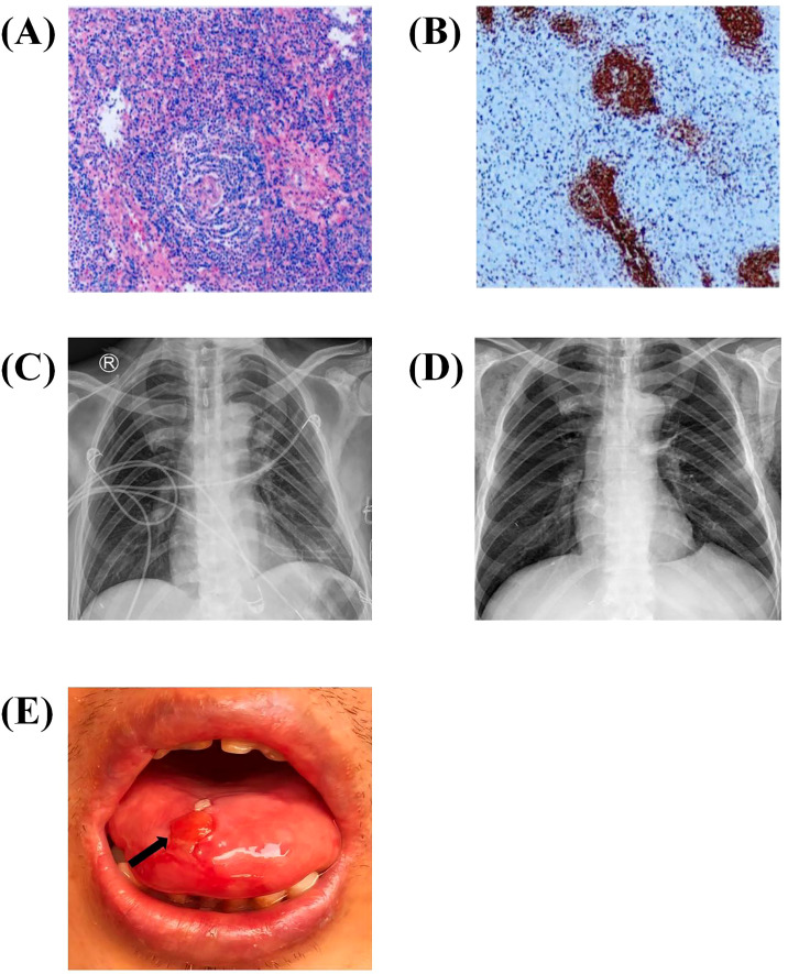 Figure 3