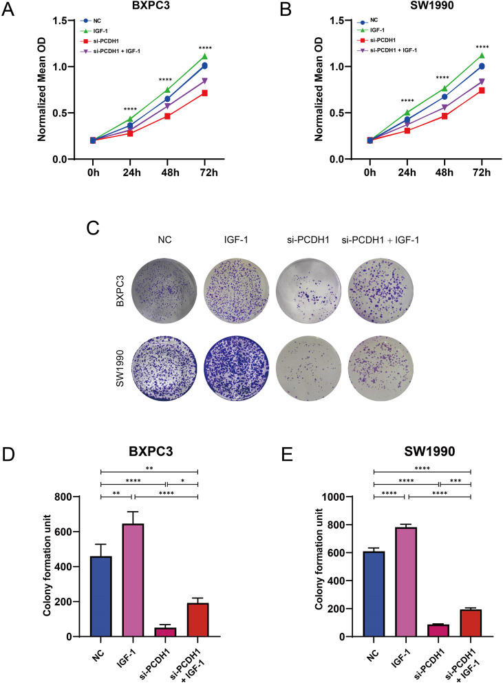 Figure 12
