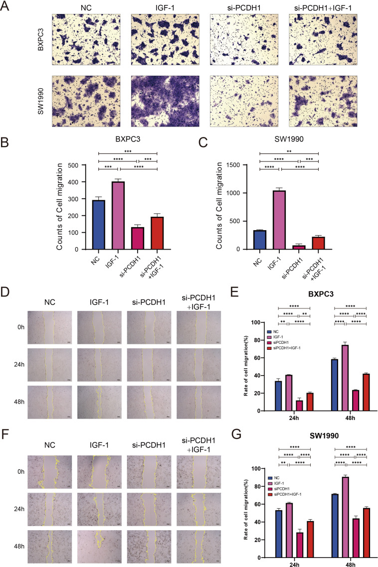 Figure 13
