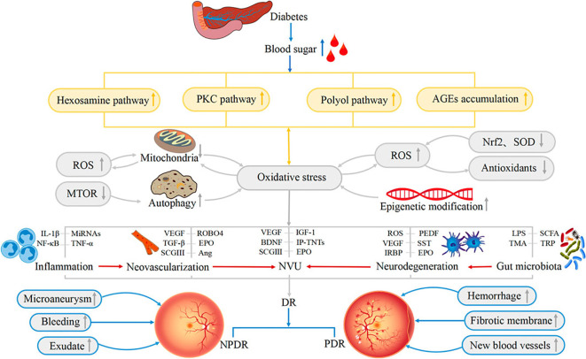 Figure 2