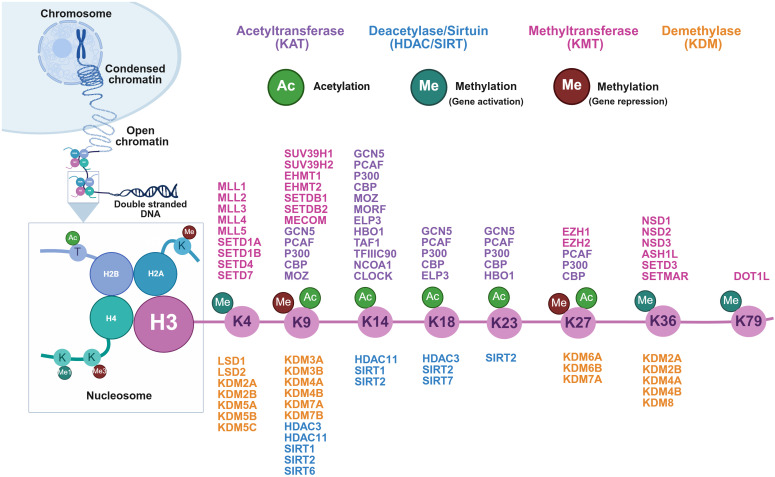 Figure 1
