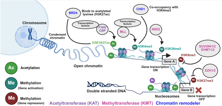 Figure 4
