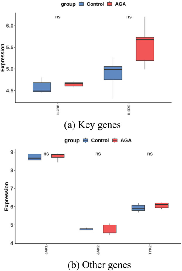 FIGURE 21