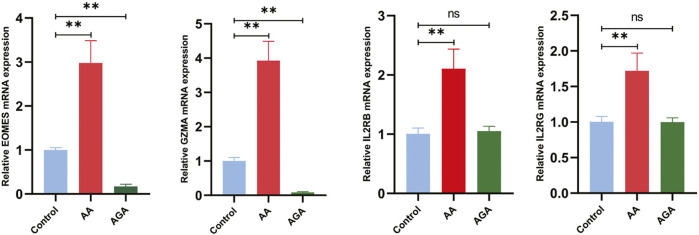 FIGURE 22