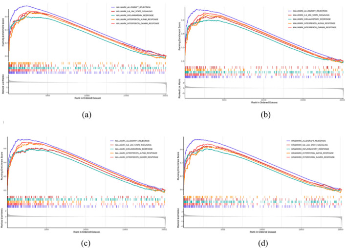FIGURE 23