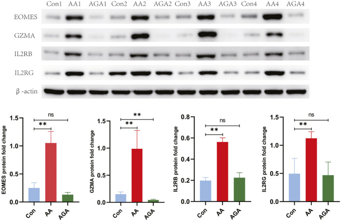 FIGURE 25