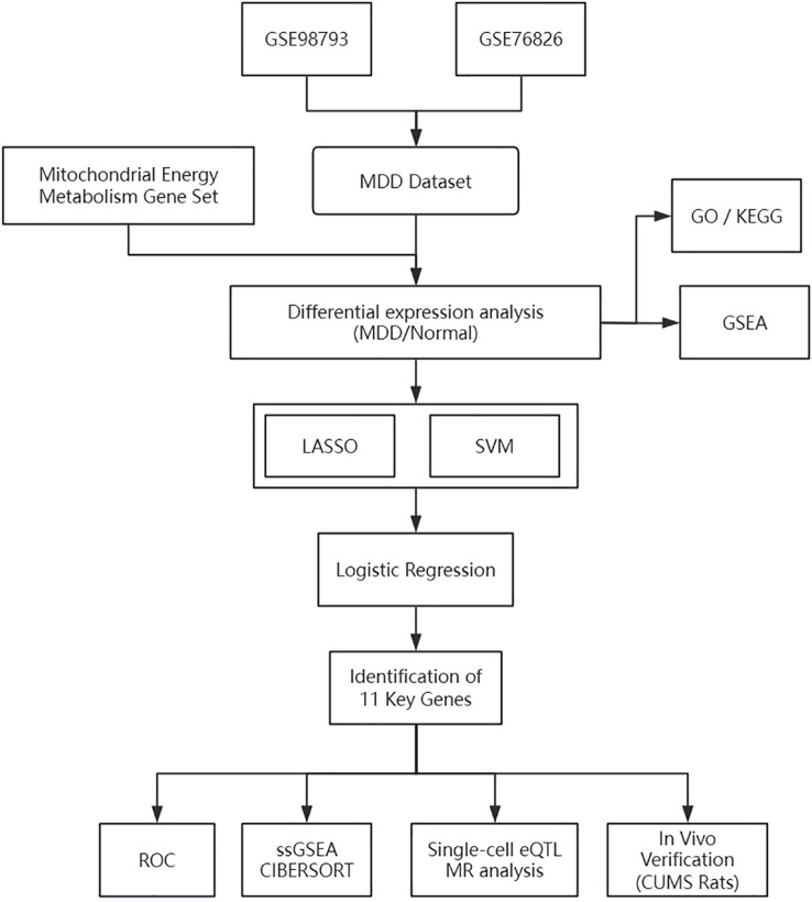 Figure 1