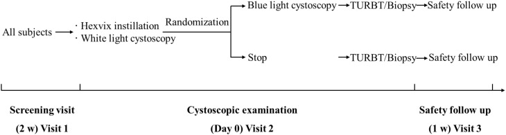 Figure 1
