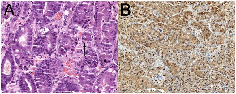 Figure 3