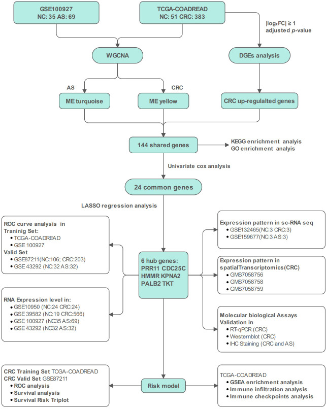 Figure 1