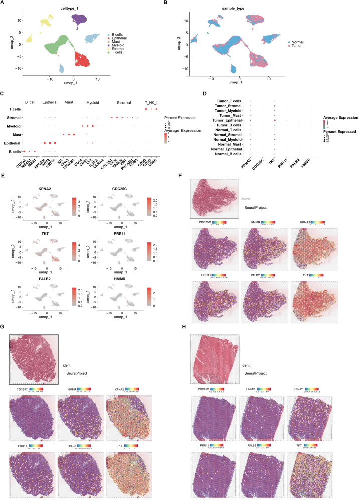 Figure 6