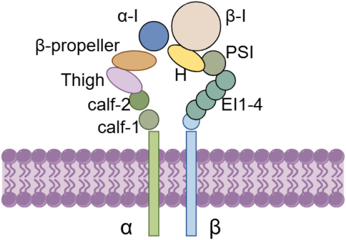 Figure 2