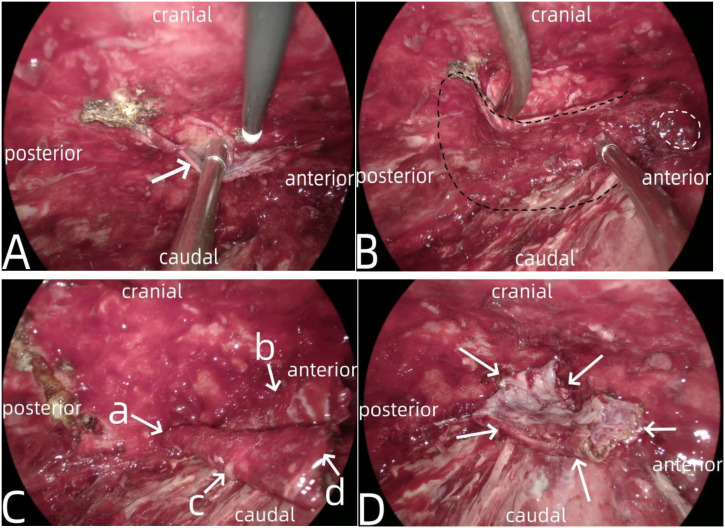 Figure 5
