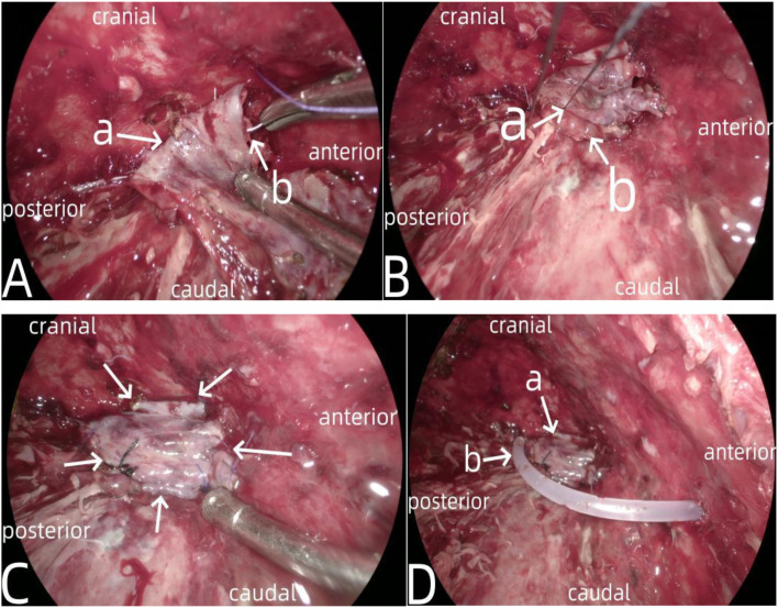 Figure 6