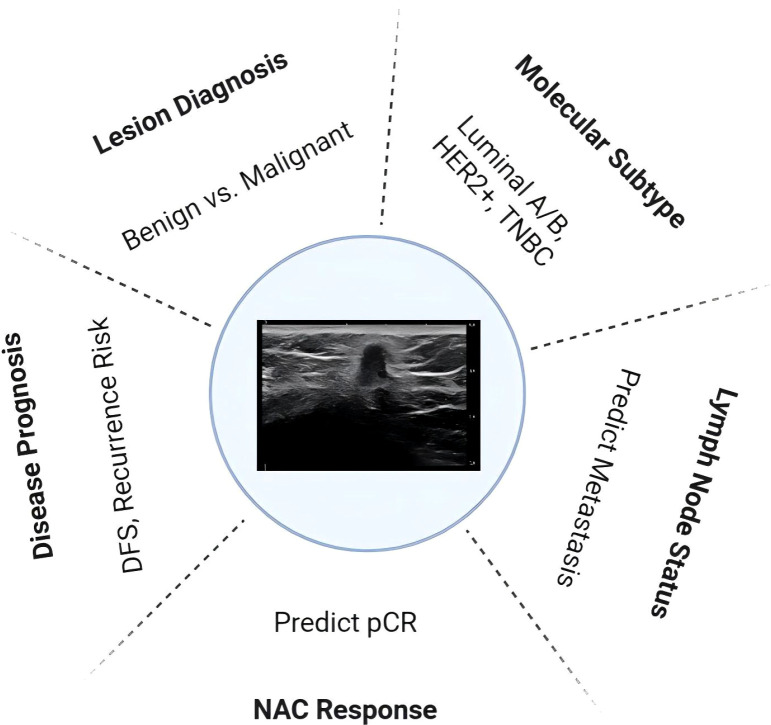 Figure 1
