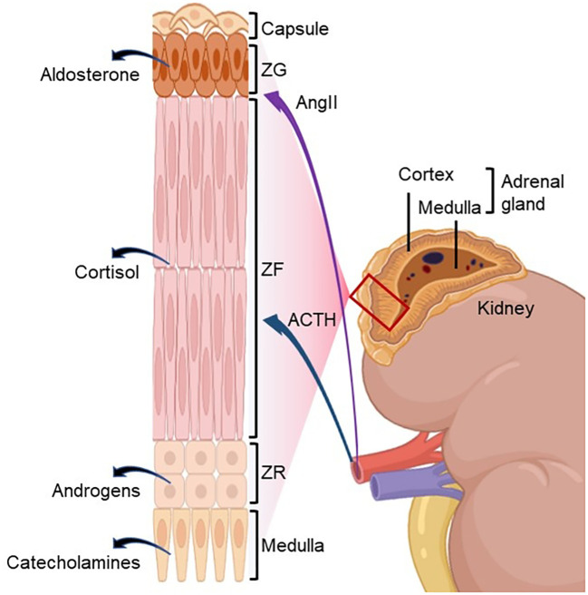 Figure 1
