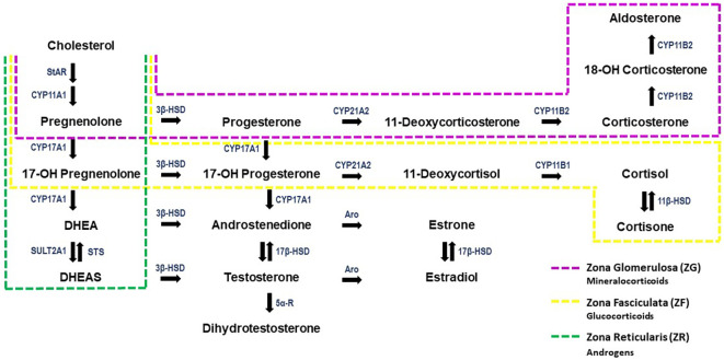 Figure 2