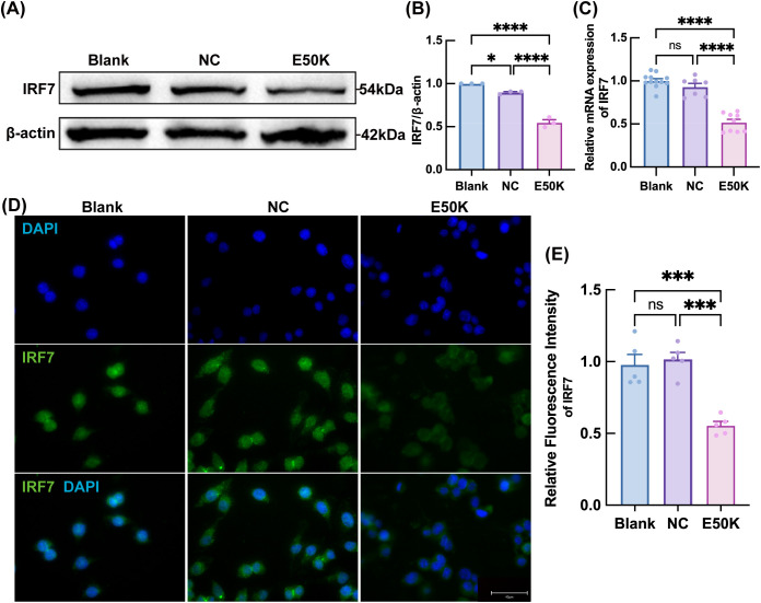Figure 6
