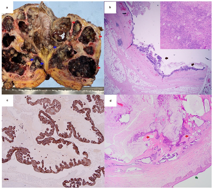 Figure 1
