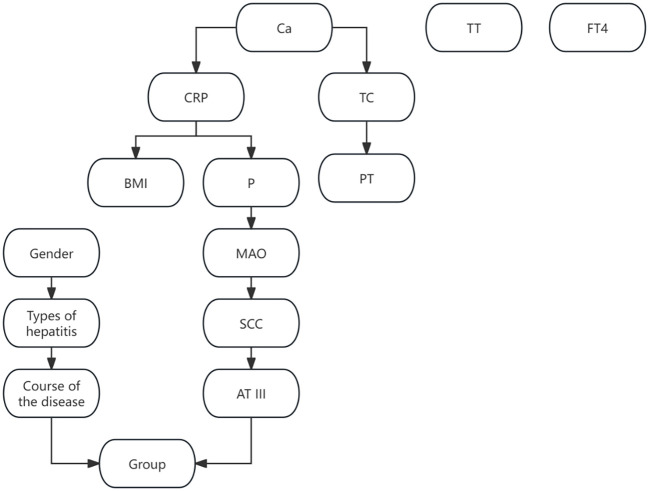 Figure 3