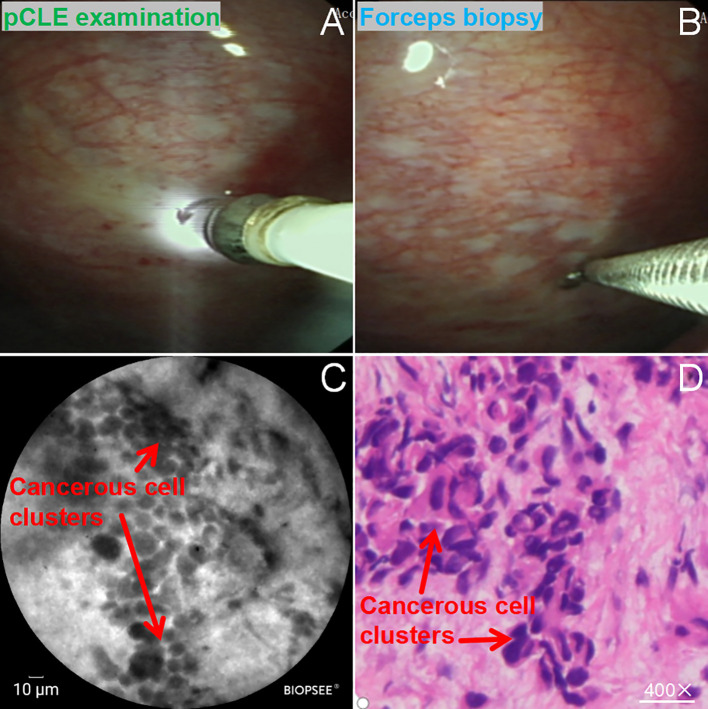 Figure 3