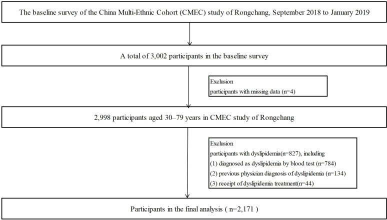 Figure 1