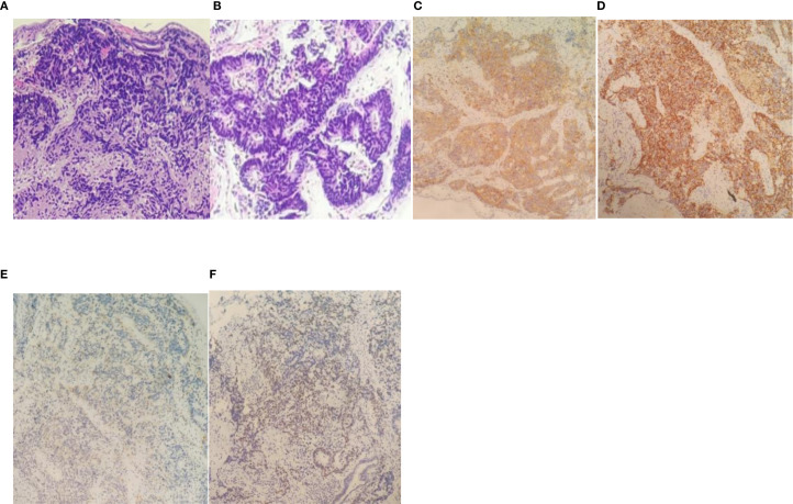 Figure 1