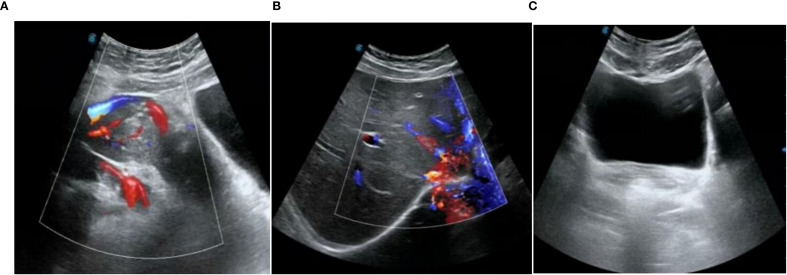 Figure 4