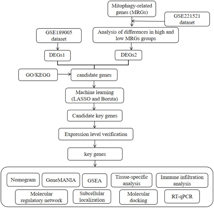 Figure 1