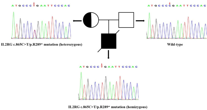 Figure 3
