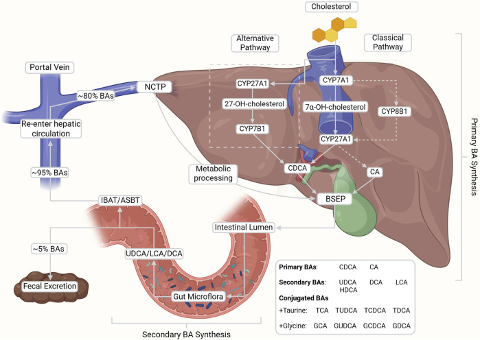 FIGURE 1