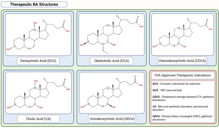 FIGURE 4