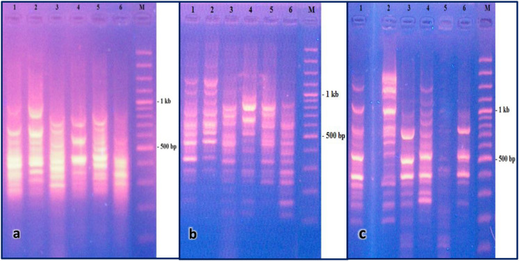 Figure 3
